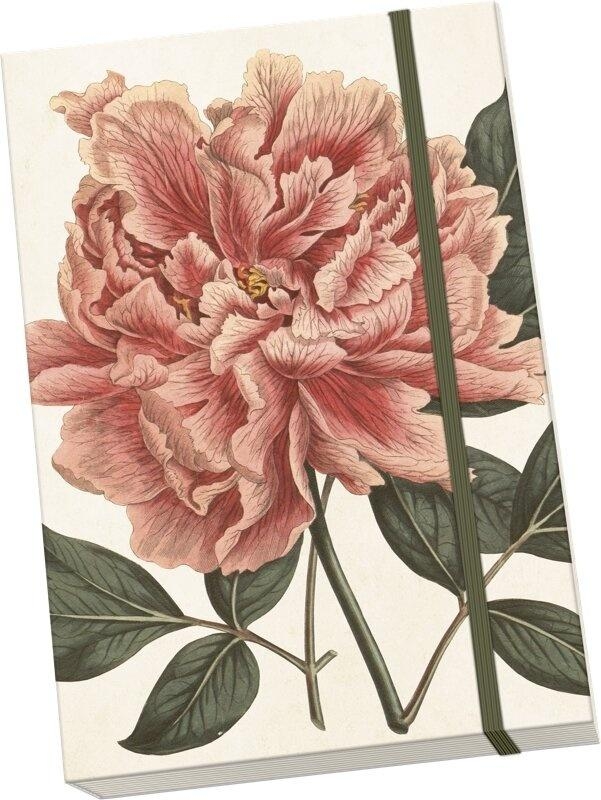 <img src='https://webimage.pl/pics/554/8/d7340117708554.jpg'>