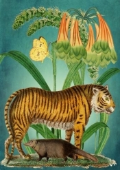 Karnet B6 z kopertą Tygrys