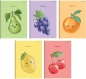 Zeszyt A5/16K linia Fruits (20szt) TOP2000