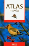 Atlas ptaków  Karetta Marcin