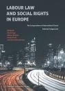 Labour Law and Social Rights in Europe The Jurisprudence of International