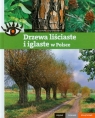 Drzewa liściaste i iglaste w Polsce Piękne ciekawe wyjątkowe Szwedler Inga, Nawara Zbigniew