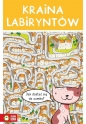Kraina labiryntów - Opracowanie zbiorowe