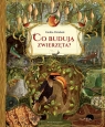 Co budują zwierzęta? Emilia Dziubak
