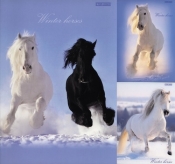 Zeszyt A4 Top-2000 w linie 96 kartek Winter Horses mix - <br />