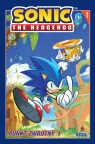  Punkt zwrotny. Sonic the Hedgehog. Tom 1 wyd. 6
