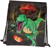 Worek na buty T-Rex