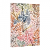 Kalendarz Paperblanks 2026 Anemone HOR Midi twarda okładka