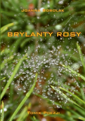 Brylanty rosy - Joanna Sobolak