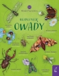 Młodzi przyrodnicy. Rozpoznaję owady - Patrycja Zarawska