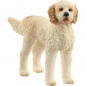 Schleich, Pies rasy Goldendoodle (SLH13939)