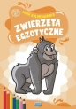 Moja kolorowanka. Zwierzęta egzotyczne - Opracowanie zbiorowe