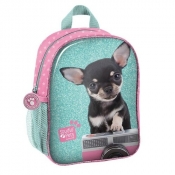 Plecak przedszkolny Studio Pets chihuahua (PTE-303)