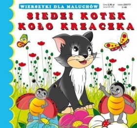 Siedzi kotek koło krzaczka - Pruchnicka Emilia