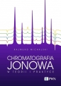 Chromatografia jonowa w teorii i praktyce - Rajmund Michalski