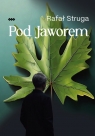  Pod Jaworem