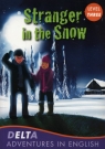 Stranger in the Snow Level 3