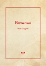  Brzozowo