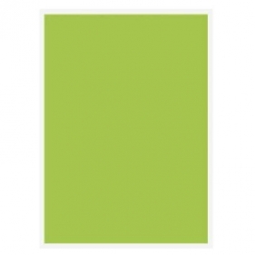 Papier kolorowy Protos A4 zielony 80g 100ark