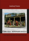 Gruzja niepodległa od monarchii do republiki Furier Andrzej