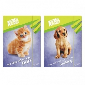 Teczka z gumką A4 Animal Planet Cute mix
