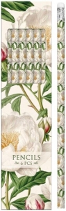 Ołówki ozdobne STPEN55 biała piwonia 6szt