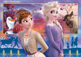 Puzzle SuperColor 60: Frozen 2 (26056)