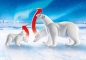 Strażnicy polarni z niedźwiedziami polarnymi (9056)