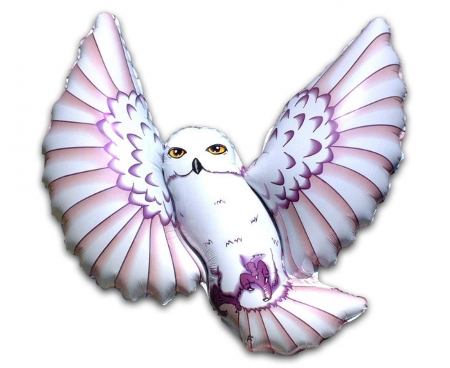 <img src='https://webimage.pl/pics/560/1/d8435102341560.jpg'>