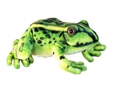 Żaba 28cm
