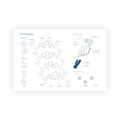 Plakat budowa DNA format A2