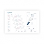 Plakat budowa DNA format A2