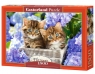 Puzzle 1500 Cute Kittens (C-151561)