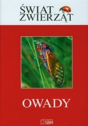 Świat zwierząt Owady