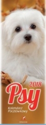 Kalendarz pocztówkowy 2013. Psy