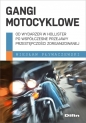 Gangi motocyklowe. Od wydarzeń w Hollister po współczesne przejawy przestępczości zorganizowanej - Wiesław Pływaczewski