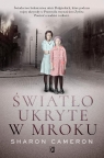  Światło ukryte w mroku