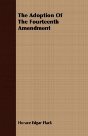 The Adoption Of The Fourteenth Amendment