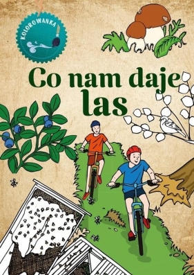 Kolorowanka. Co nam daje las - Katarzyna Kopiec-Sekieta