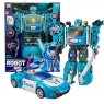 Auto robot