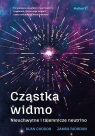Cząstka widmo. Nieuchwytne i tajemnicze neutrino Alan Chodos, James Riordon
