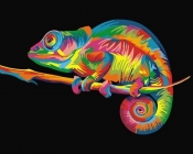 Malowanie po numerach - Tęczowy kameleon 40x50cm
