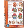  Puzzle 1000 The Brain 6000-025610+