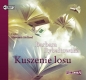 Kuszenie losu - Barbara Rybałtowska