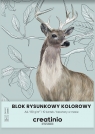 Blok rysunkowy Top 2000: A4, kolor, 10k 80g - creatinio