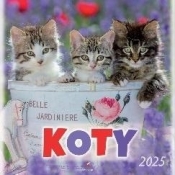 Kalendarz 2025 wieloplanszowy Koty