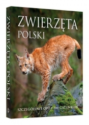Zwierzęta Polski Szczegółowe opisy 300 gatunków - Kapusta Joanna dr hab., Kapust