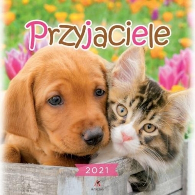 Kalendarz 2021 Ścienny Przyjaciele ARTSEZON