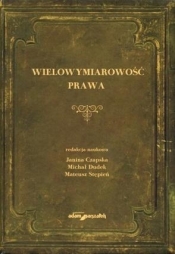 Wielowymiarowość prawa - Mateusz Stępień