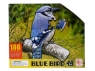  Puzzle 100 - Ptak